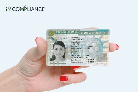 Expired Permanent Resident Card and Form N-400 Used for Form I-9