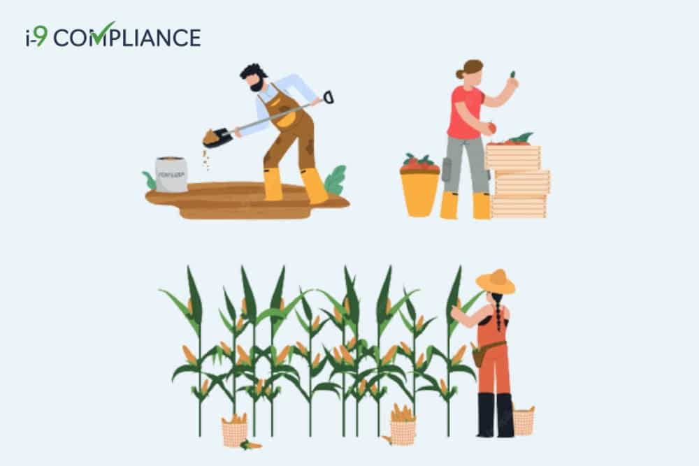 Foreign National Employment Options For Seasonal And Agricultural Work foreign-national-employment-options-for-seasonal-and-agricultural-work