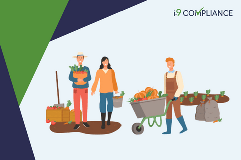 Harvesting Company Favors H-2A Workers